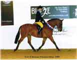 Faye Ludlow on State Policy - Winner of Supreme Premier League Blue Division at Summer Champs 2009