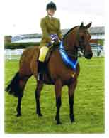 Faye Ludlow on State Policy - Winner of Supreme Premier League Blue Division at Summer Champs 2009