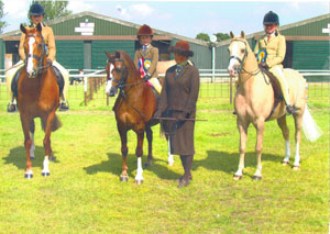 Ponies Uk